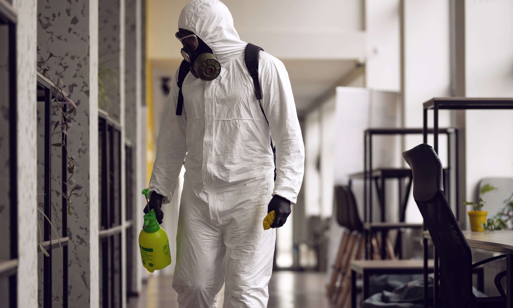 Your Mold Remediation Company in The Inland Empire